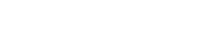 light logo